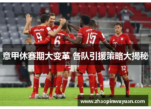 意甲休赛期大变革 各队引援策略大揭秘